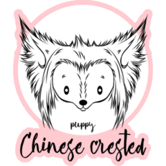 Crested Dog On Pink Sticker