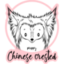 Crested Dog On Pink Sticker