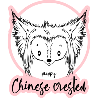 Crested Dog On Pink Sticker