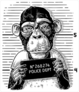 Criminal Monkey Mug Shot Sticker