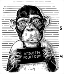 Criminal Monkey Mug Shot Sticker