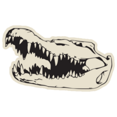 Crocodile Or Alligator Skull Sticker