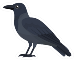 Crow Cartoon Sticker