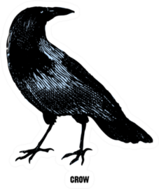 Crow From the Complete Encyclopedia Of Illustrations Sticker