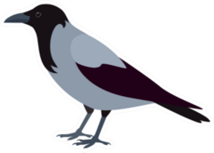 Crow Isolated On White Background Sticker