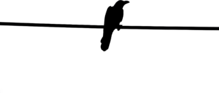 Crow On Wires Silhouette Sticker