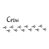 Crow Prints Icon Sticker
