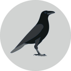 Crow Raven Bird Illustration On Grey Sticker