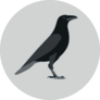Crow Raven Bird Illustration On Grey Sticker