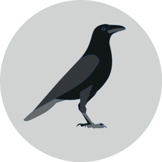 Crow Raven Bird Illustration On Grey Sticker