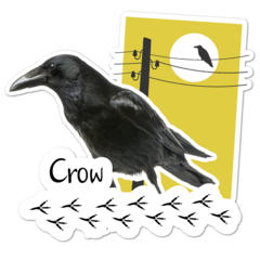 Crow Thumbnail