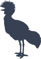 Crowned Crane Sticker