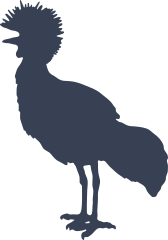 Crowned Crane Sticker