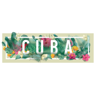 Cuba Typographic Sticker