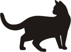 Curious Cat Looking Back Sticker