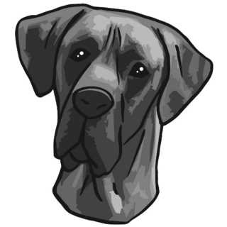 Curious Great Dane Sticker