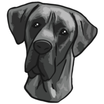 Curious Great Dane Sticker