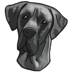 Curious Great Dane Sticker