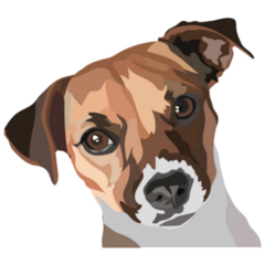 Curious Jack Terrier Sticker