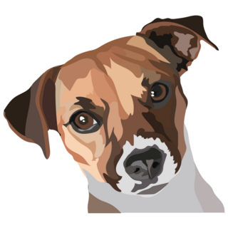 Curious Jack Terrier Sticker