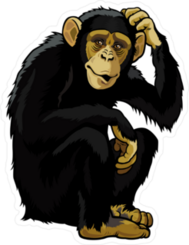 Curious Monkey Chimpanzee Sticker