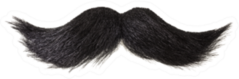 Curly Black Mustache Isolated On White Sticker