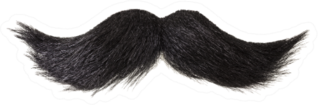 Curly Black Mustache Isolated On White Sticker