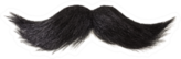 Curly Black Mustache Isolated On White Sticker