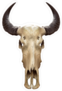 Curved Horns Buffalo Skull Sticker