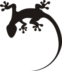 Curved Lizard Gecko Sticker