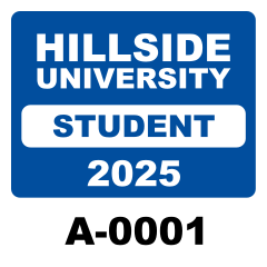 Custom Parking Permit Square