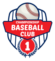 Custom Retro Baseball Emblem Magnet