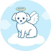 Cute Angel Maltese Sticker