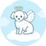 Cute Angel Maltese Sticker