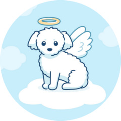 Cute Angel Maltese Sticker