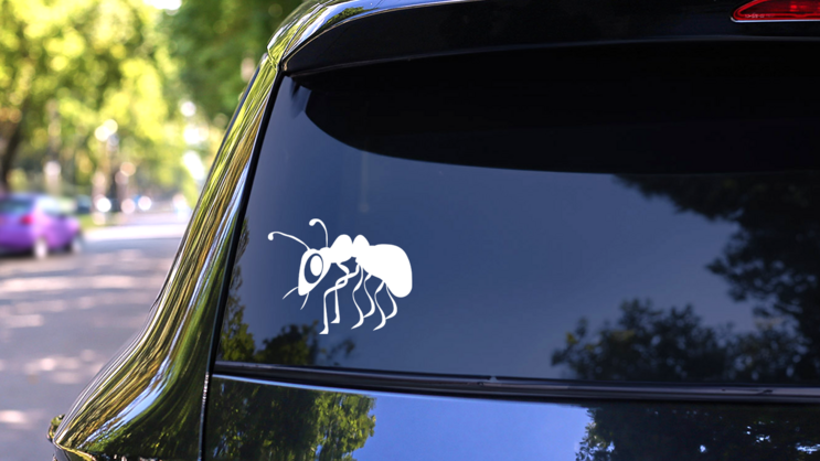 Cute Ant Sticker on a Rear Car Window (New) example