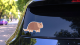 Cute Armadillo Cartoon Sticker on a Rear Car Window (New) example