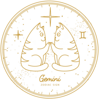 Cute Astrology Gemini Cats Zodiac Sign Sticker
