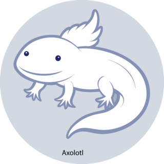 Cute Axolotl Labeled Sticker