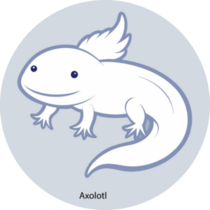 Cute Axolotl Labeled Sticker