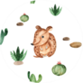 Cute Baby Animals Armadillo Sticker