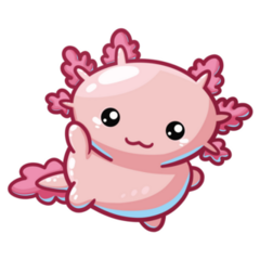 Cute Baby Axolotl Sticker
