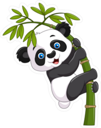 Cute Baby Panda Hanging On Bamboo Sticker