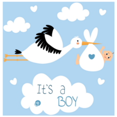 Cute Baby Stork On Blue, Its A Boy Sticker