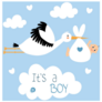 Cute Baby Stork On Blue, Its A Boy Sticker