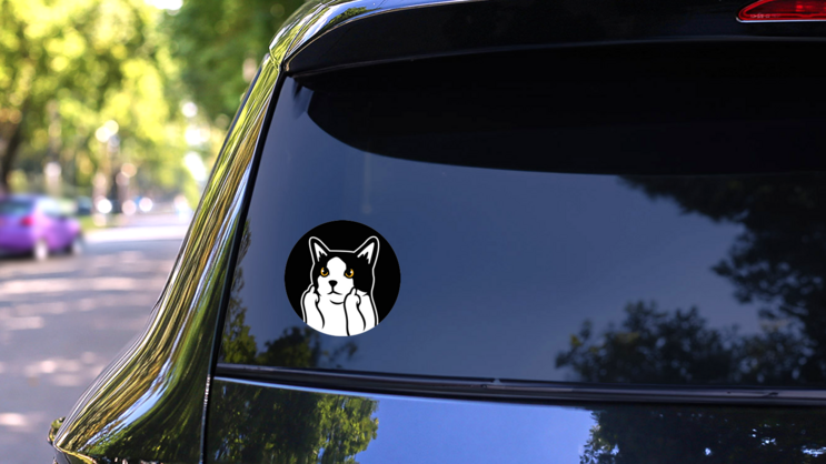 Cute Black And White Cat Middle Finger Sticker on a Rear Car Window (New) example