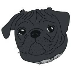 Cute Black Pug Sticker