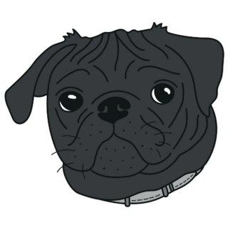Cute Black Pug Sticker