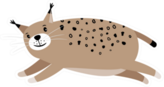 Cute Bobcat Jumping Sticker