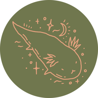 Cute Boho Axolotl Sticker